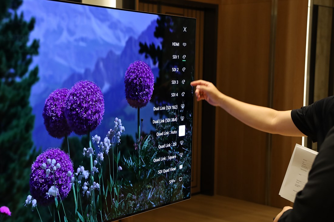 LG OLED Pro 65EP5Q-BQ 설정 테스트