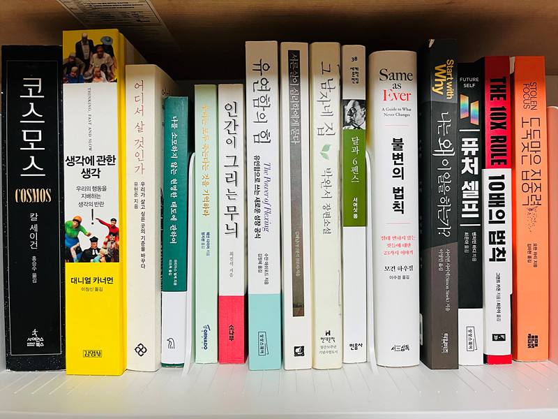 읽고 있는 서적들